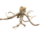 Large Piece of Spiderwood