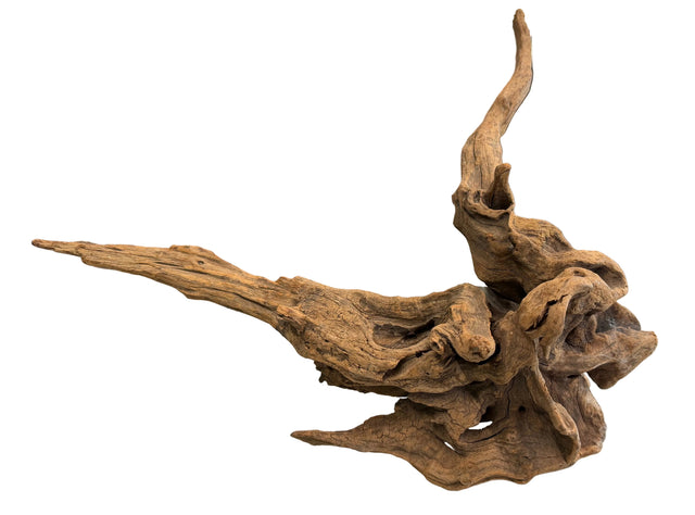 W.Y.S.I.W.Y.G.- 611 -Large Piece of Spiderwood | Substrates & Hardscape | Largest Tropical Fish Selection at Your Local Fish Store