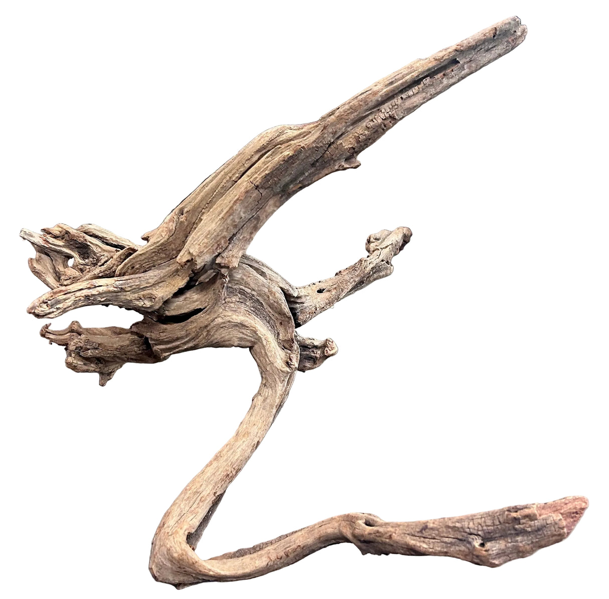  Malaysian Sinking Driftwood