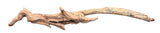 Malaysian Mangrove Sinking Driftwood