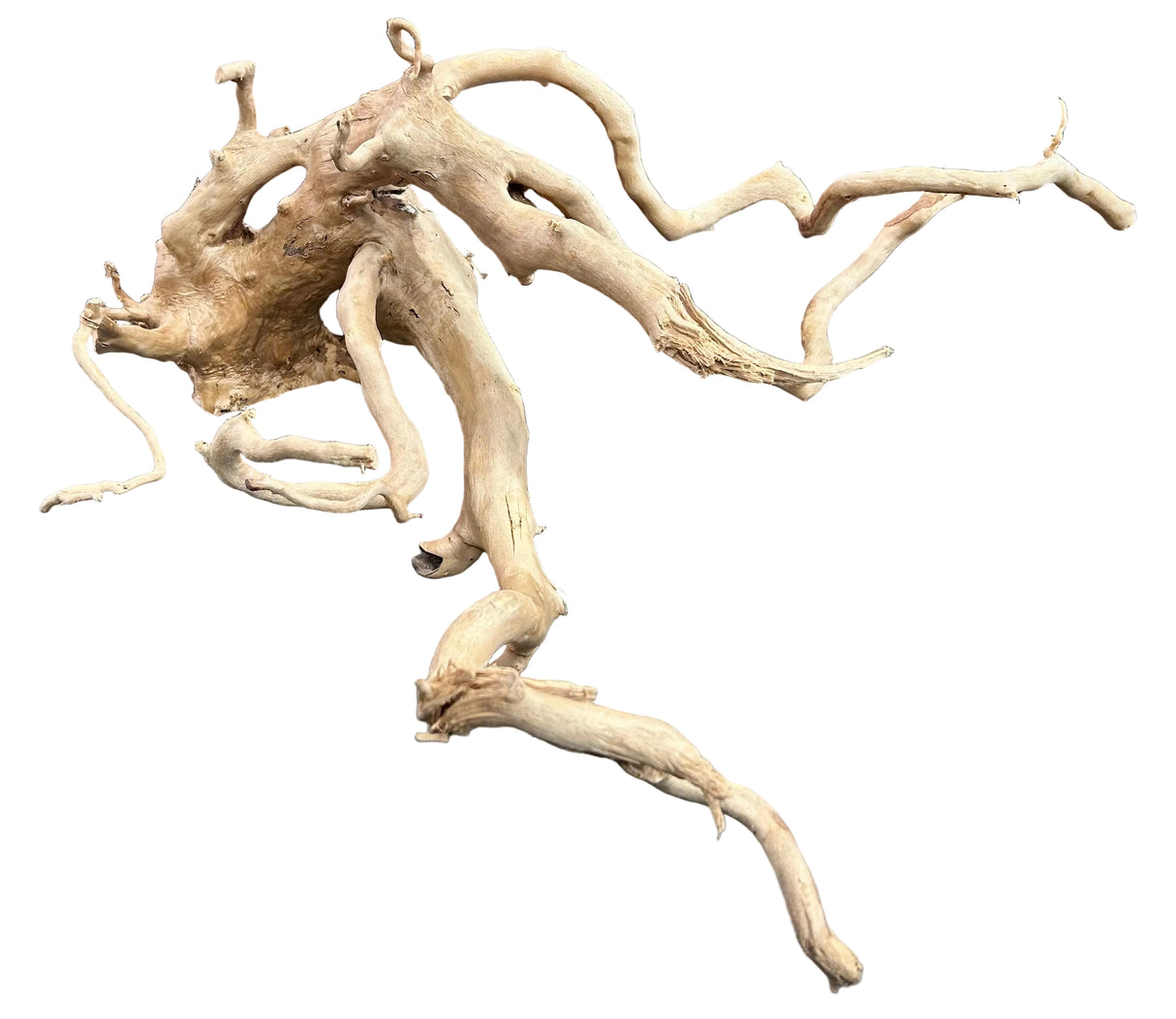 W.Y.S.I.W.Y.G.- 612 - Large Piece of Spiderwood | Substrates & Hardscape | Largest Tropical Fish Selection at Your Local Fish Store