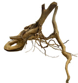 Large Piece of Spiderwood