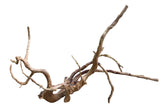 Medium Spiderwood