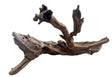 Malaysian Mangrove Sinking Driftwood