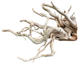 Large Piece of Spiderwood