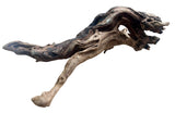 Malaysian Mangrove Sinking Driftwood