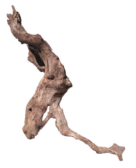 Malaysian Sinking Driftwood