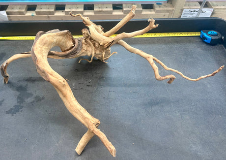 W.Y.S.I.W.Y.G.- 606 -  Large Piece of Spiderwood