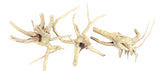  SPIDERWOOD