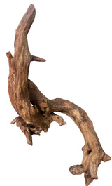 Malaysian Mangrove Sinking Driftwood