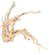  Large  Piece of Spiderwood