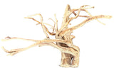Large Piece of Spiderwood