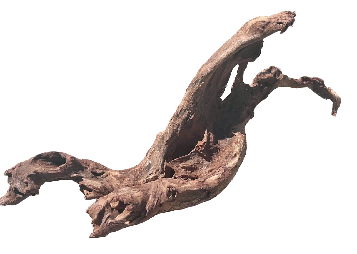 Malaysian Sinking Driftwood