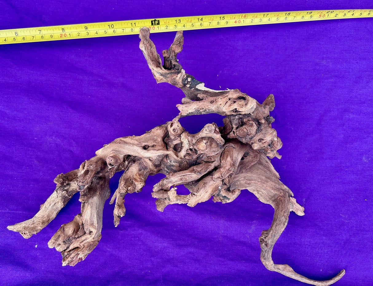 Malaysian Sinking Driftwood | Substrates & Hardscape | Largest Tropical Fish Selection at Your Local Fish Store