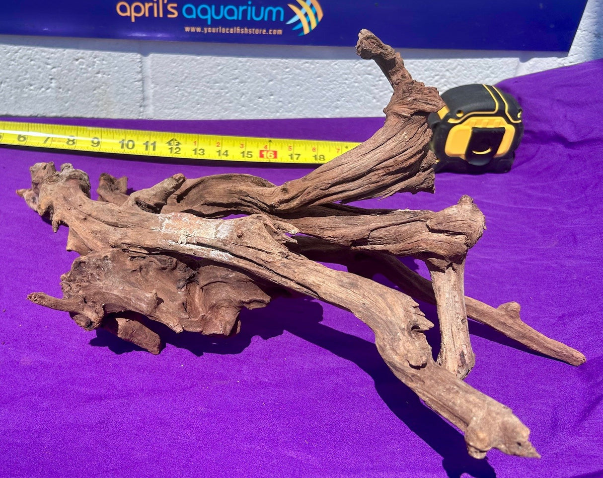 Malaysian Sinking Driftwood | Substrates & Hardscape | Largest Tropical Fish Selection at Your Local Fish Store