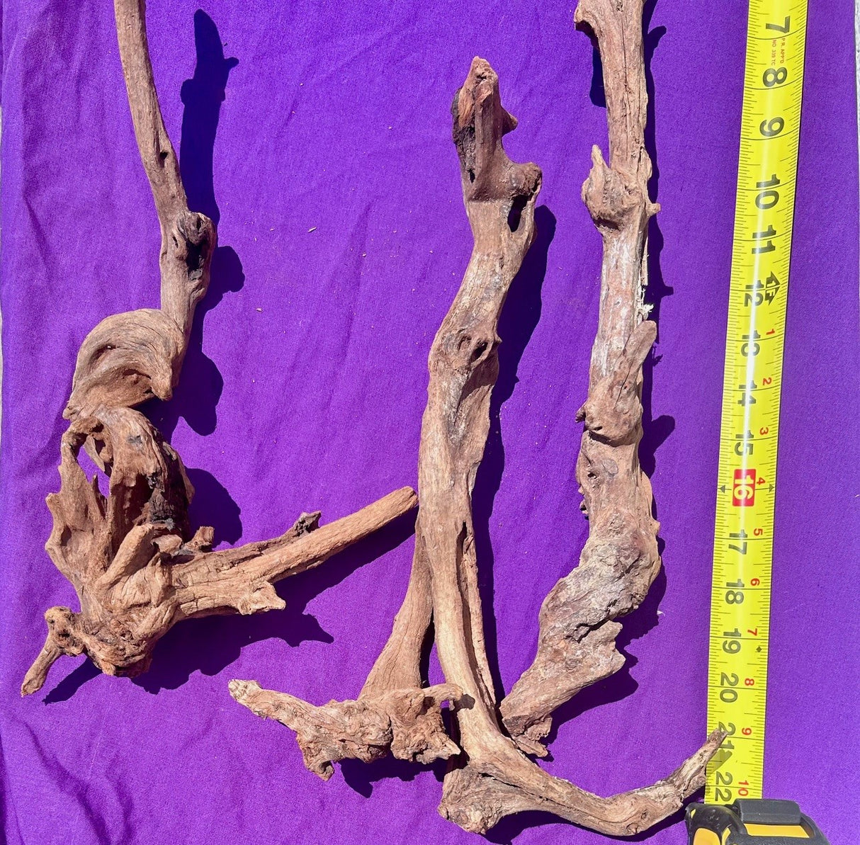 Malaysian Sinking Driftwood | Substrates & Hardscape | Largest Tropical Fish Selection at Your Local Fish Store