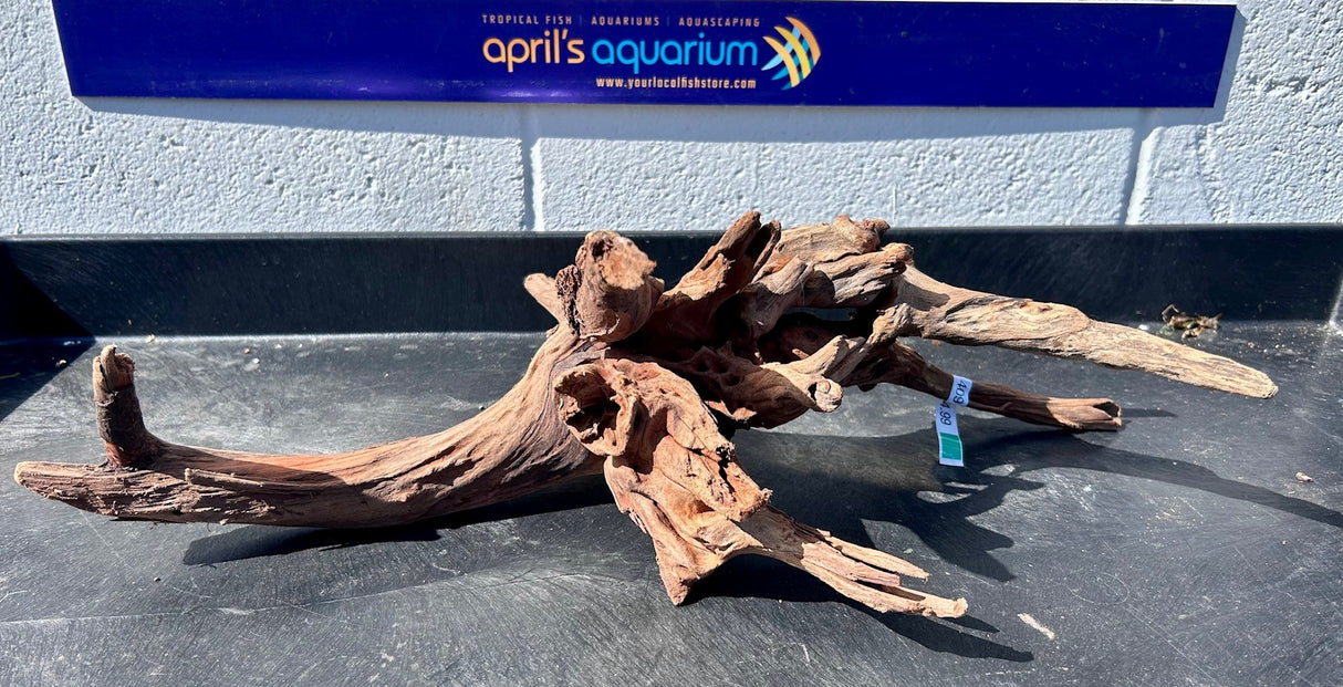 Malaysian Sinking Driftwood | Substrates & Hardscape | Largest Tropical Fish Selection at Your Local Fish Store