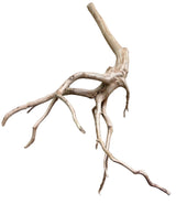  Piece of Red Moor Spiderwood
