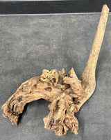 W.Y.S.I.W.Y.G.- 2005 - Malaysian Sinking Driftwood  Wood