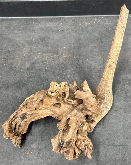 W.Y.S.I.W.Y.G.- 2005 - Malaysian Sinking Driftwood  Wood