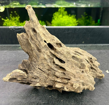 W.Y.S.I.W.Y.G.- 202 - Texture / Shrimp Driftwood