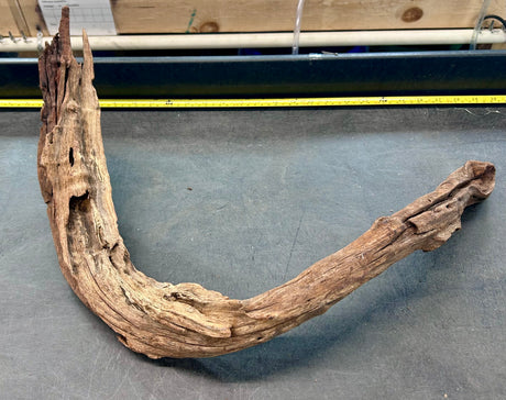 W.Y.S.I.W.Y.G.- 412 - Malaysian Mangrove Wood