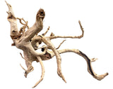 Large spiderwood 