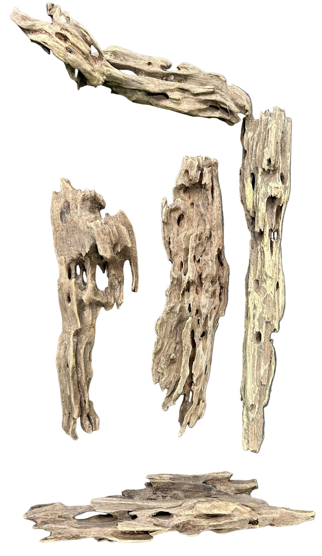 Texture / Shrimp Driftwood