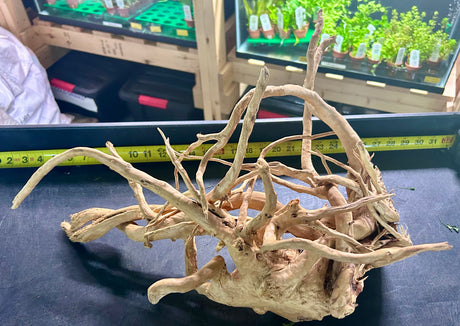 W.Y.S.I.W.Y.G.- 608 -  Large Piece of Spiderwood