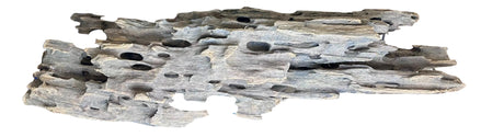 Texture / Shrimp Driftwood