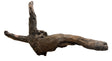 Malaysian Mangrove Sinking Driftwood