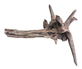 Malaysian Mangrove Sinking Driftwood