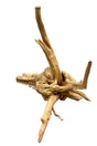  Piece of Spiderwood