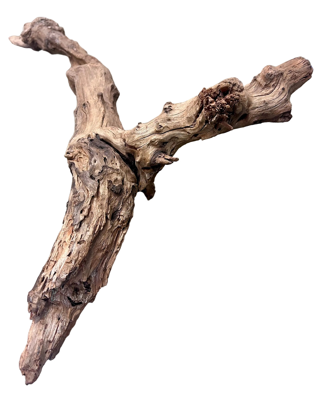  Malaysian Mangrove Wood