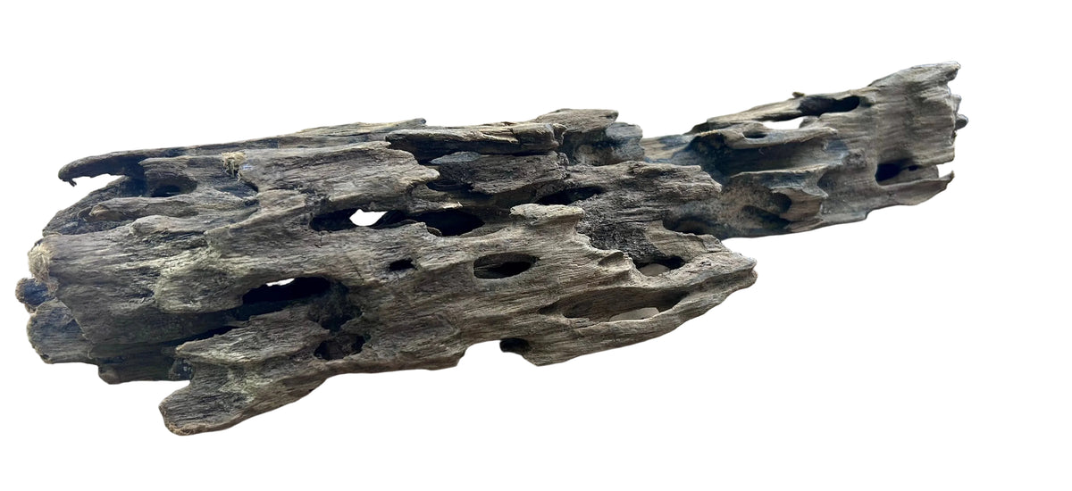 Texture / Shrimp Driftwood