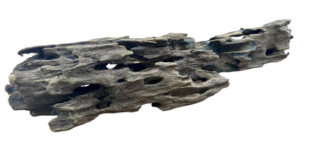 Texture / Shrimp Driftwood
