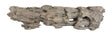 Texture / Shrimp Driftwood