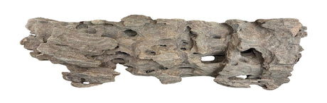 Texture / Shrimp Driftwood