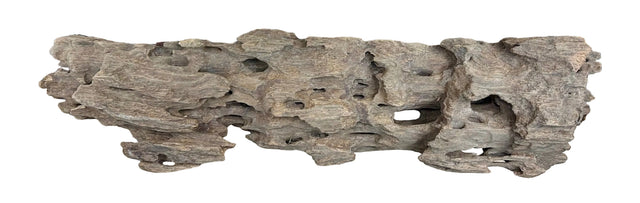 Texture / Shrimp Driftwood