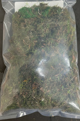 Vesicularia dubyana (Java moss) Portion - WP223