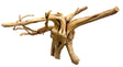  Piece of Spiderwood