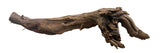 Malaysian Mangrove Sinking Driftwood