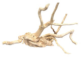 Large Piece of Spiderwood