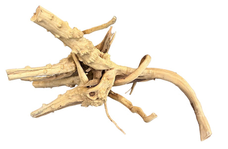  Piece of Spiderwood