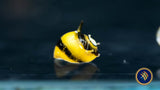 Horned Nerite Snail (Clithon sp.) | Snails Shrimp Crayfish Crabs | Largest Tropical Fish Selection at Your Local Fish Store