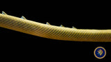 Rope Fish (Erpetoichthys calabaricus) 20cm