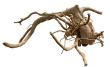  Large Piece of Spiderwood