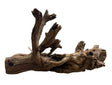  Malaysian Mangrove Wood