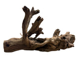  Malaysian Mangrove Wood