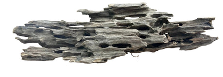 Texture / Shrimp Driftwood